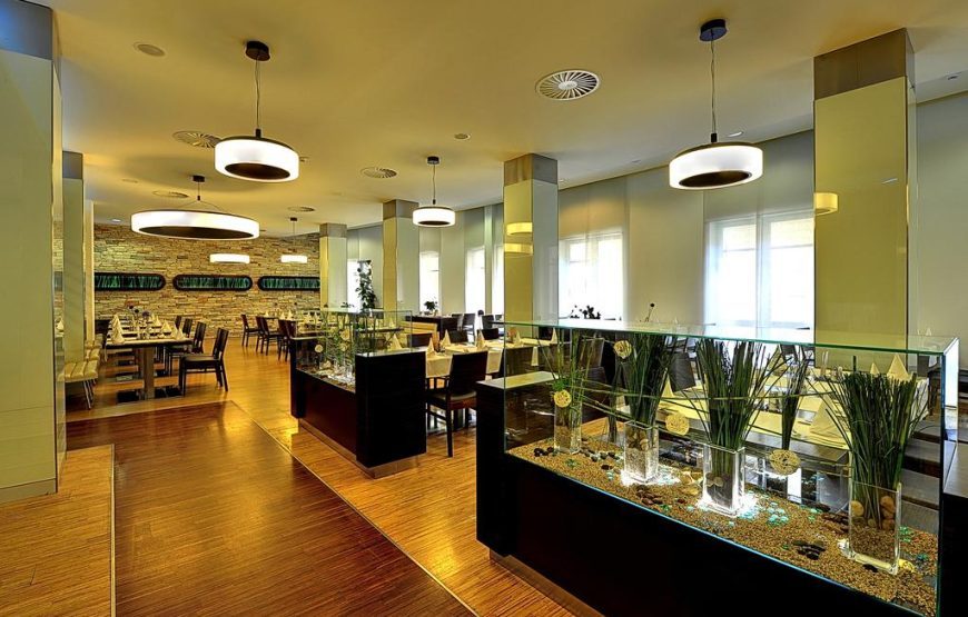 St.Joseph Royal Regent