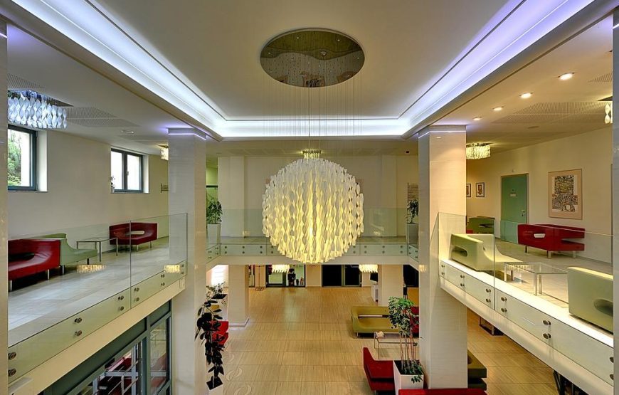 St.Joseph Royal Regent